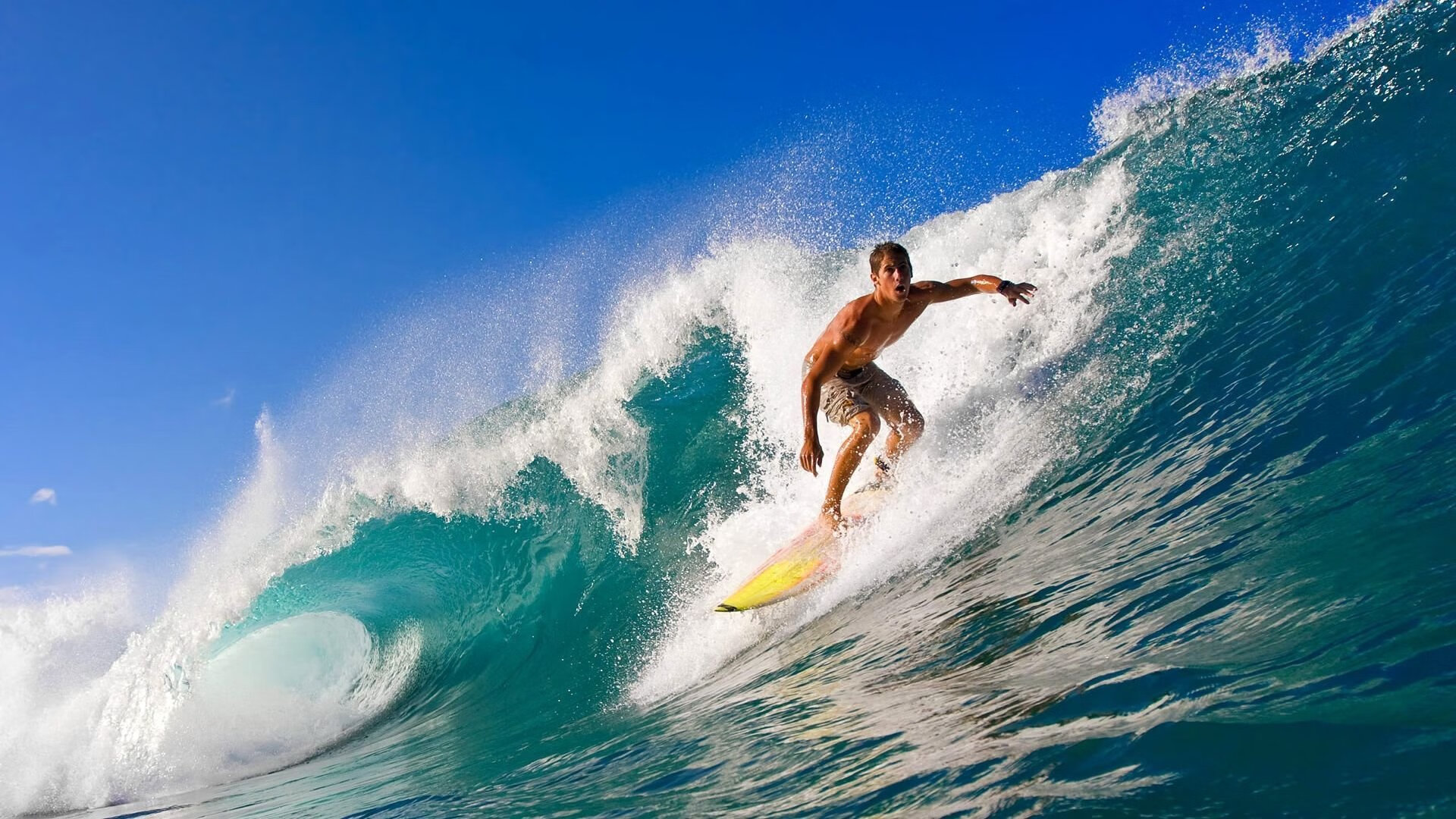 国际赛事巡回：带你走遍全球最热比赛场地，全球哪最热