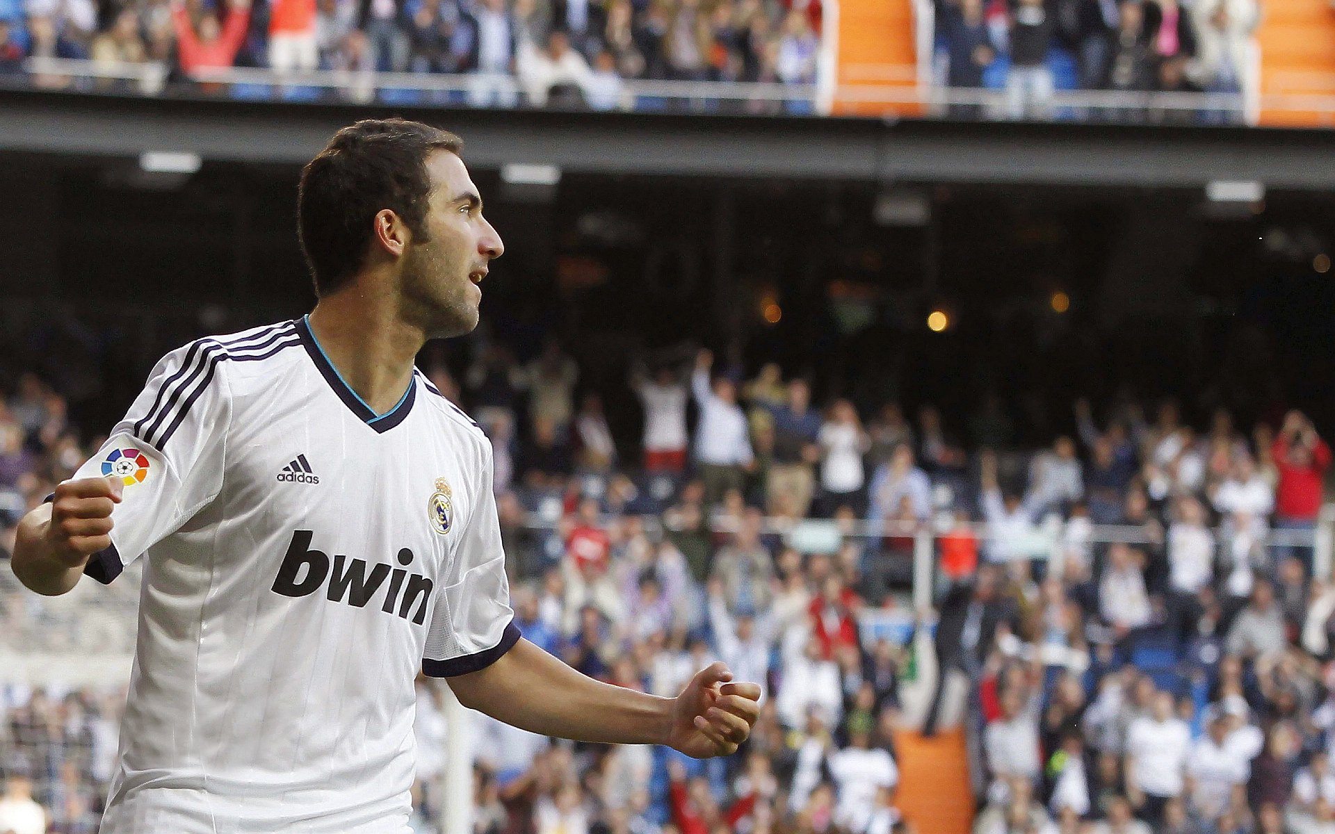 德甲裁判执法尺度引发讨论，公平问题再受关注，德甲场地